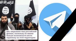Мировой терроризм повержен: реакция соцсетей на блокировку Telegram (17 фото)
