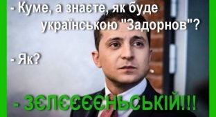Как соцсети бичуют Зеленского за порношутки над Украиной