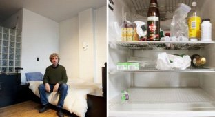 Содержимое холодильника и вы (10 фото)