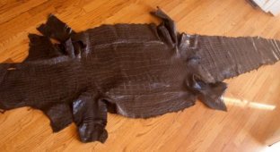 Производство сумок из крокодильей кожи (66 фото)