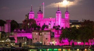 Лондон в розовом цвете (16 фото)