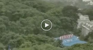 Тайфун «Майсак» оторвал плавучий док завода «Восточная верфь» (мат)