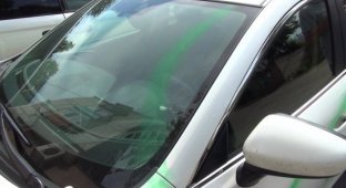 Житель Калининграда в стремлении отомстить бывшей девушке разрисовал краской три автомобиля (3 фото)
