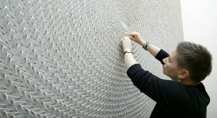 Спиральная инсталляция из 23 000 куриных косточек (6 фото)