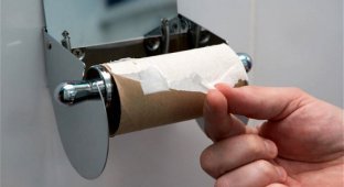 Что делать когда закончилась туалетная бумага (10 фото)