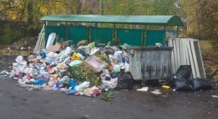 Подмосковное Пушкино утопает в мусоре (15 фото)