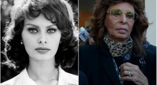 Постаревшие звёзды: как сегодня выглядят знаменитые актрисы кино, которым за 60 (20 фото)