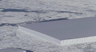 Рай для перфекциониста: ученые нашли айсберг идеальной прямоугольной формы (2 фото)