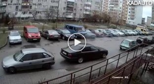 Необычное происшествие на парковке в Калининграде