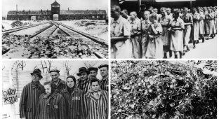 Варварская жестокость: архивные фотографии из лагеря смерти Аушвиц (21 фото)