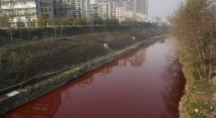 В Китае появилась кровавая река (3 фото)