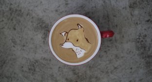 Бариста создаёт на кофе забавные рисунки (19 фото)