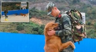 Армейская собака не отпускает своего наставника, у которого закончился срок службы (6 фото)