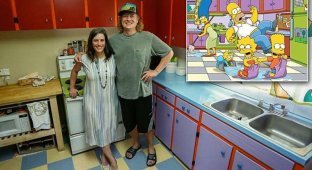 Пара воссоздала легендарную кухню Симпсонов в собственном доме (11 фото)