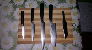 Магнитная подставка для ножей (11 фото)