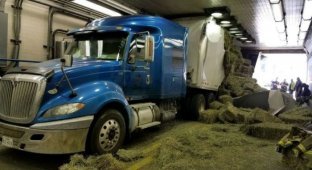 В США грузовик застрял в тоннеле, из-за того что водитель не учел высоту (4 фото)