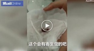 Сотрудников китайской компании заставили есть червей