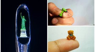Самые миниатюрные вещи в мире (31 фото)