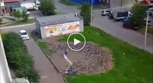 В Красногорске местные жители страдают из-за людей, которые два раза в день зерном приманивают птиц