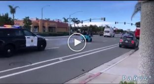 Странная погоня полицейских за бомжихой, угнавшей вилочный погрузчик, попала на видео в Калифорнии