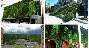 15 вертикальных садов по всему миру (23 фото)