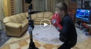 10-летний боксер с отличной скоростью и реакцией
