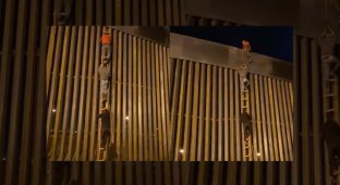 Нелегальные мигранты перелезают через трамповскую стену с помощью веревочной лестницы (4 фото + 1 видео)