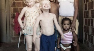 Черная бразильянка родила трех белых детей (4 фото)