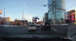 Два барана испортили ограждение в Екатеринбурге