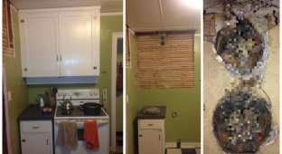 Мужчина решил сделать ремонт на кухне и обнаружил нечто жуткое (7 фото)