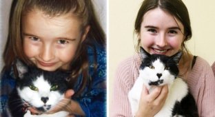 Девушка нашла потерянного кота во время волонтерства в приюте для животных (8 фото)