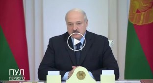 Александр Лукашенко считает, что одной из главных причин протестов в Беларуси является безработица