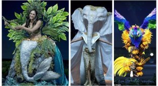 Участницы конкурса "Мисс Вселенная" показали необычные национальные костюмы (22 фото)