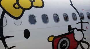 Авиалинии Hello Kitty (12 фото)