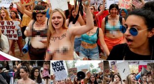 Полуголые дамы протестовали в Тель-Авиве против сексуальных надругательств над женщинам (14 фото)