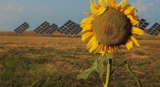 Энергия Солнца: где находятся и как работают самые экологичные электростанции планеты (28 фото)