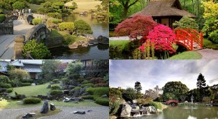 20 японских садов со всего света (20 фото)