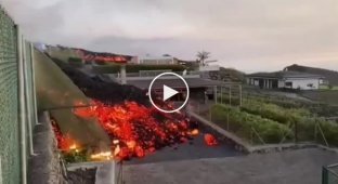 Апокалиптичные кадры с Канарских остров, где началось извержение вулкана Тенегия