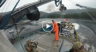 Столкновение рыболовных судов