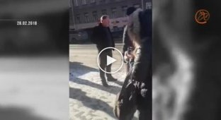 В Петербурге водитель извинился за угрозы пешеходам, которых чуть не сбил