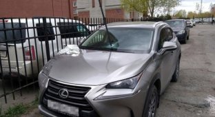 В припаркованный во дворе Омска Lexus воткнули лом (4 фото + 1 видео)