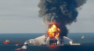 Разлив нефти в Мексиканском заливе – год спустя (39 фото)