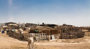 Бедуинское поселение на юге Израиля (33 фото)