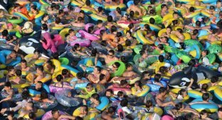 Как сельди в бочке: тысячи китайцев заполонили аквапарк (7 фото)