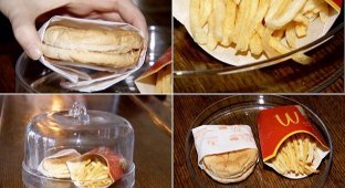 Шестилетний бургер и картофель фри из McDonald's (5 фото)