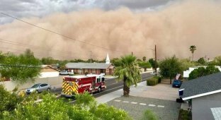 Апокалипсис из пыльной бури опять пришёл в Аризону, и на этот раз люди запаслись камерами (11 фото + 1 видео)