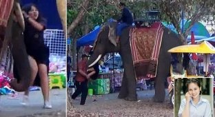 В Таиланде девочке-подростку чудом удалось уцелеть после того, как она стала жертвой рассвирепевшего слона (5 фото + 1 видео)