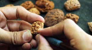 Художник превращает скорлупу грецкого ореха в произведения искусства (7 фото)