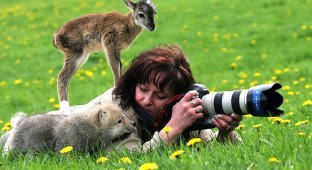 33 причины, почему фотограф дикой природы - лучшая профессия в мире (34 фото)