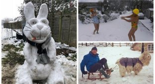 Британцы в кои веки наслаждаются настоящей зимой (21 фото)